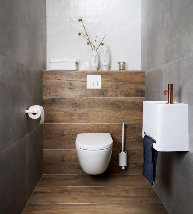 Koolstoffilter voor het WC