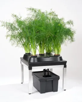 3 in 1 Irrigatiesysteem bewateringssysteem