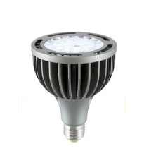 40W LED Spot