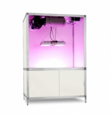 Bonanza G-Leds 560 Wit met roze licht (1m2)
