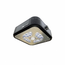 90W Sunfactor, groei & bloei