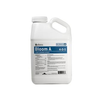 images/productimages/small/athena-bloom-a.jpg
