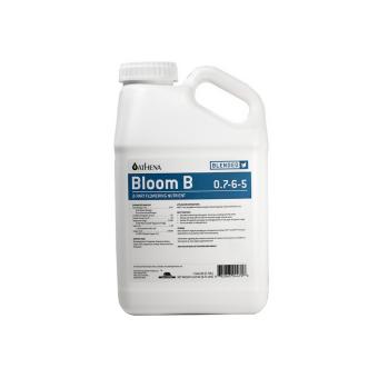 images/productimages/small/athena-bloom-b.jpg