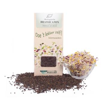 Brassiciamix microgreens