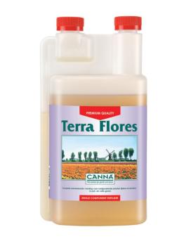 Canna terra Flores