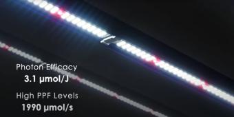 lumatek 600 watt led