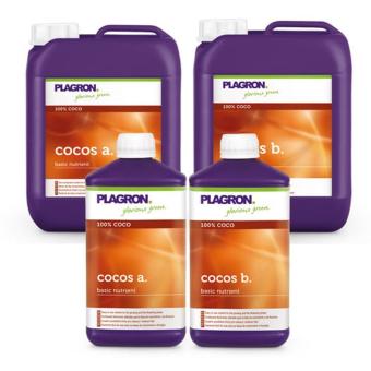 Plagron coco