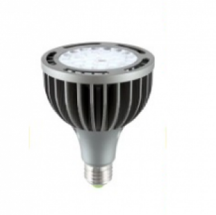 40W LED Spot