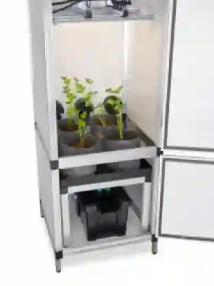3 in 1 kweeksysteem Bonanza 0,35m2