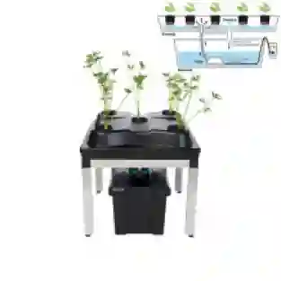 3 in 1 kweeksysteem Bonanza 0,35m2