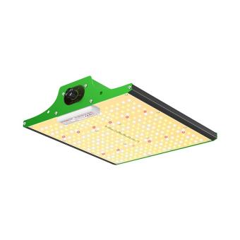 Viparspectra P600 - 100w New Model 2024